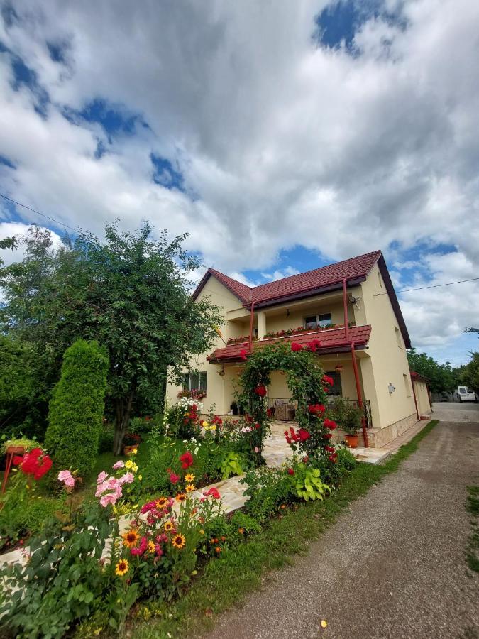 Steaua Nordului Hotel Târgu Neamț Eksteriør billede